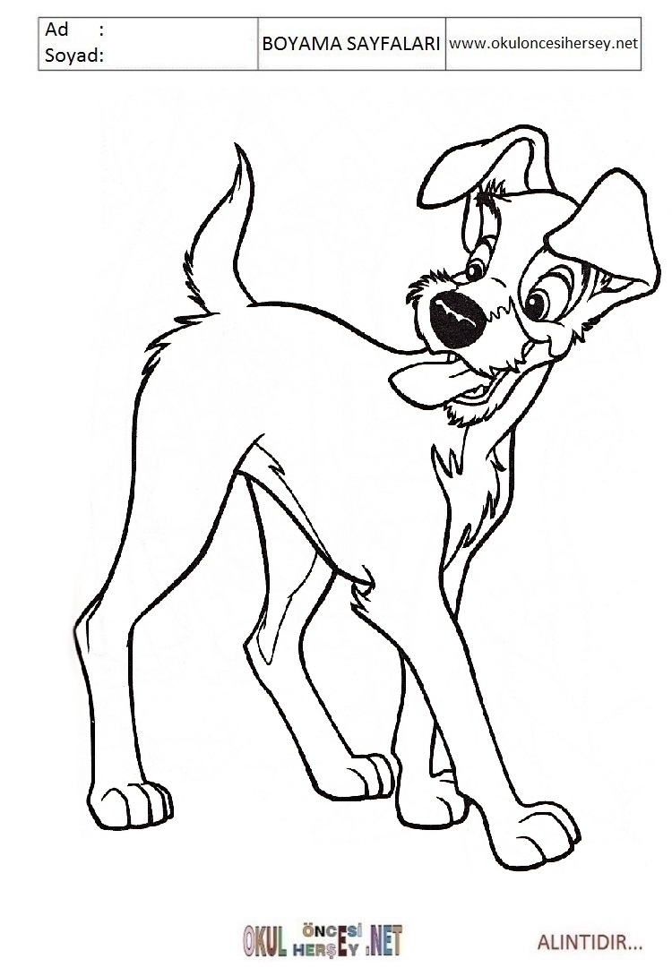 Çocuklar İçin Lady ve Tramp Boyama Sayfaları 
