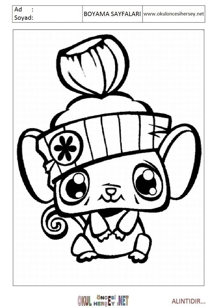 Çocuklar İçin Littlest Petshop Boyama Sayfaları 