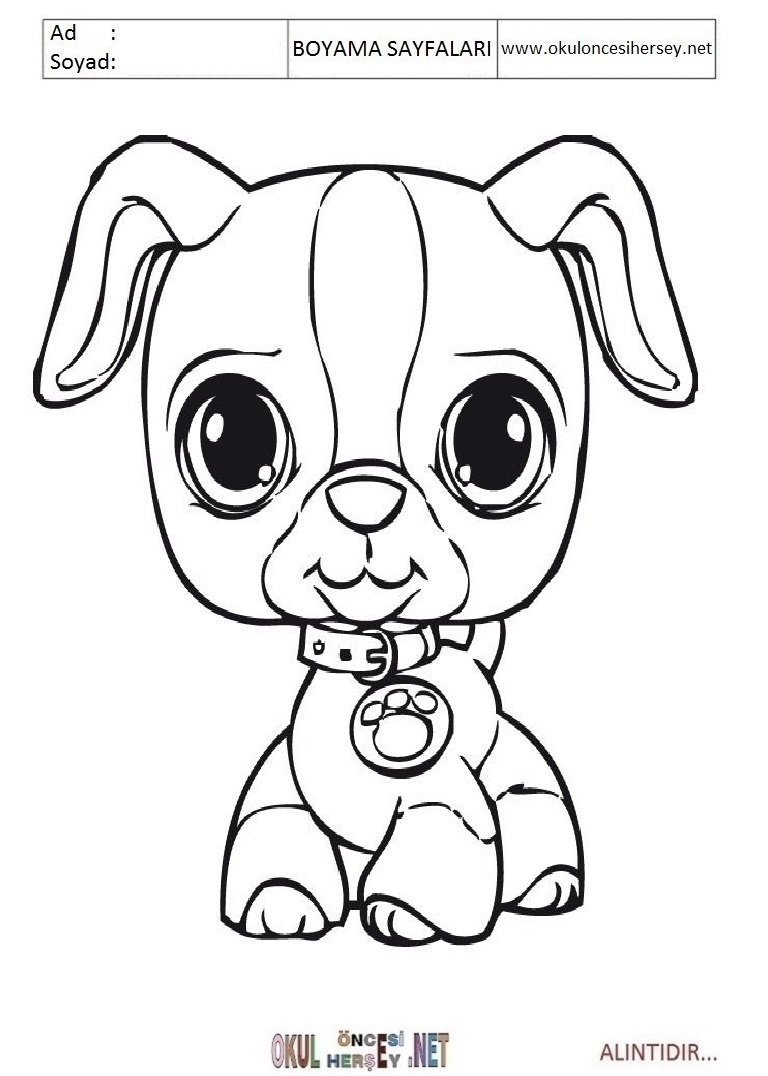 Çocuklar İçin Littlest Petshop Boyama Sayfaları 