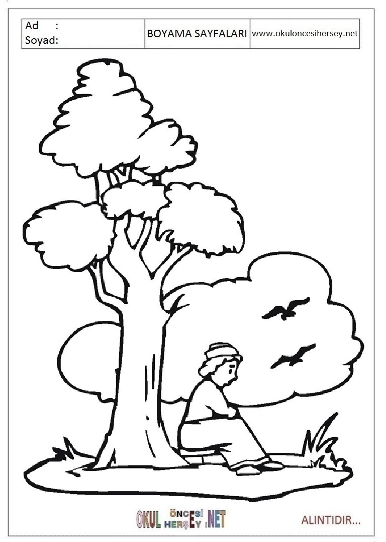 узор древесины. раскраски деревья в лесу для детей. сказочное дерево раскраска для детей. раскраски деревья для детей 4-5 лет. раскраски деревья для детей 4-5 лет.