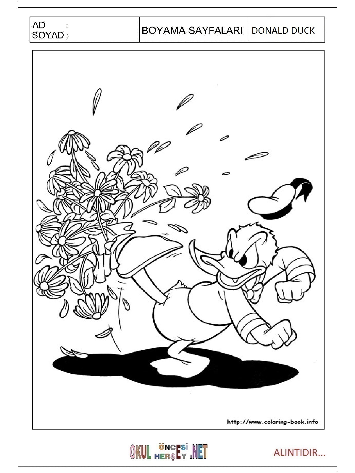 Çocuklar İçin Donald Duck Boyama Sayfaları 