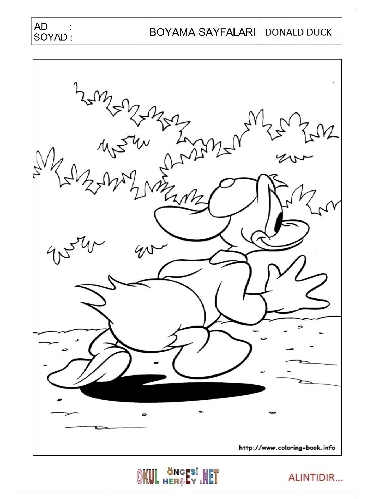 Çocuklar İçin Donald Duck Boyama Sayfaları 