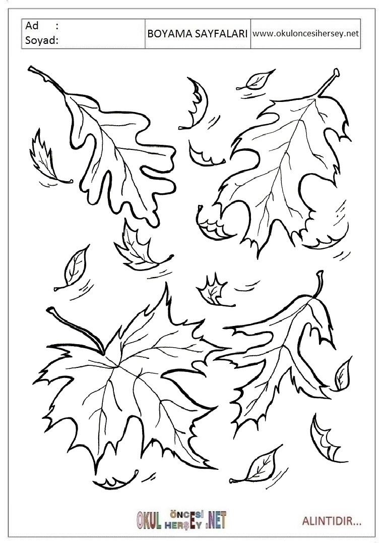 http://okuloncesihersey.net/images/demo/boyama/Mevsimler/Sonbahar/okul-%F6ncesi-%E7ocuklar-i%E7in-Mevsimler-Sonbahar-boyama-sayfalar%FD-22.jpg