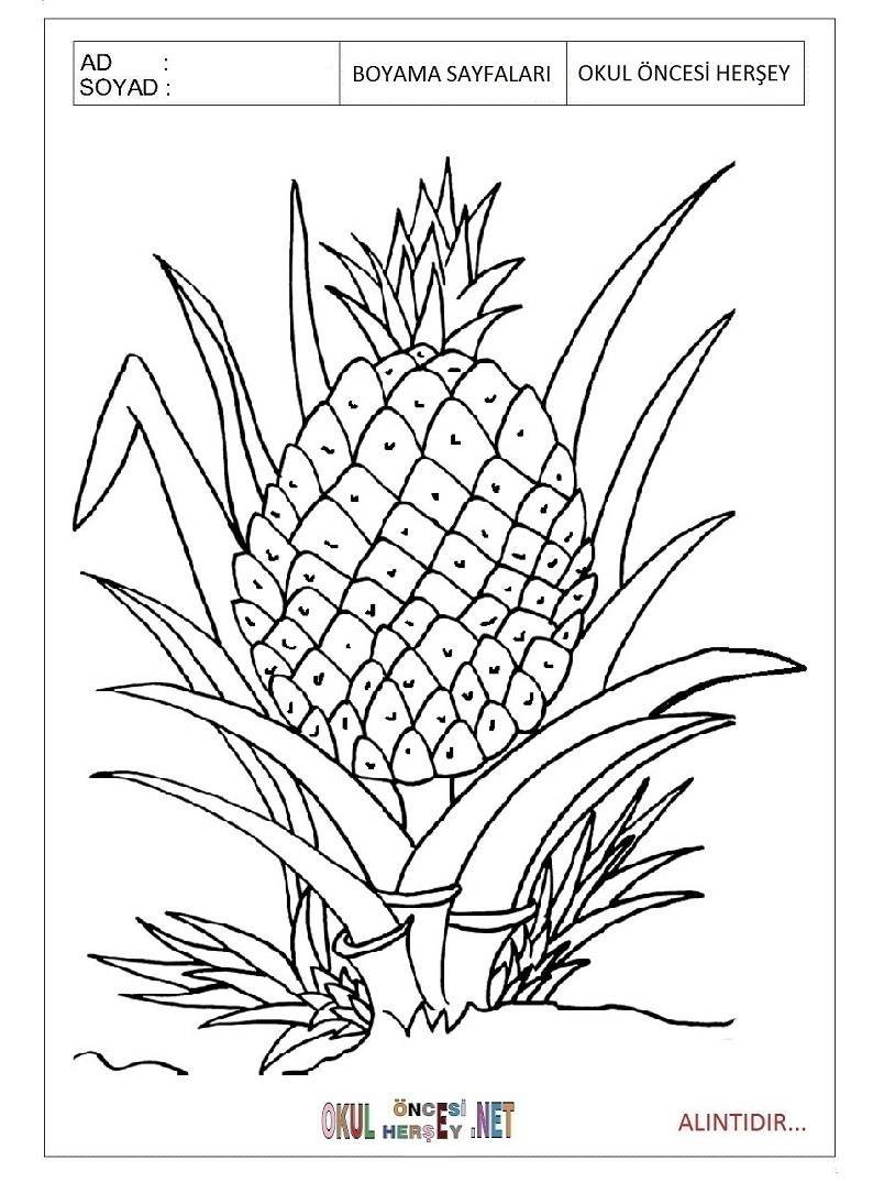 Çocuklar İçin Ananas Boyama Sayfaları 