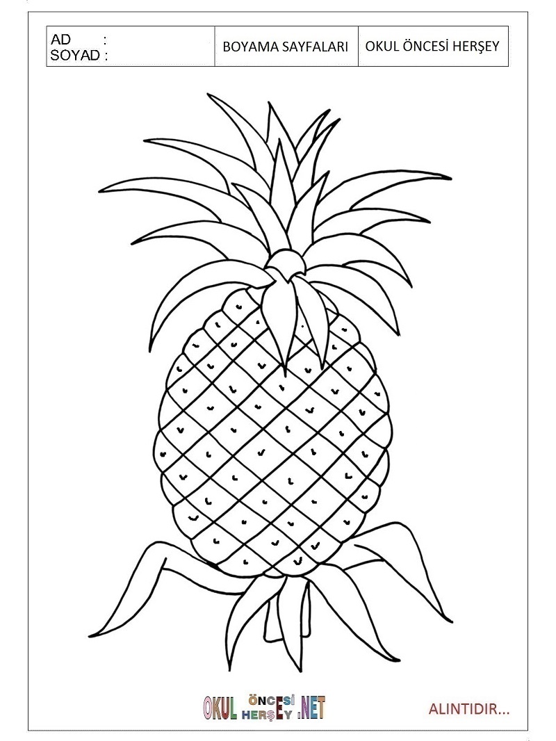 Çocuklar İçin Ananas Boyama Sayfaları 
