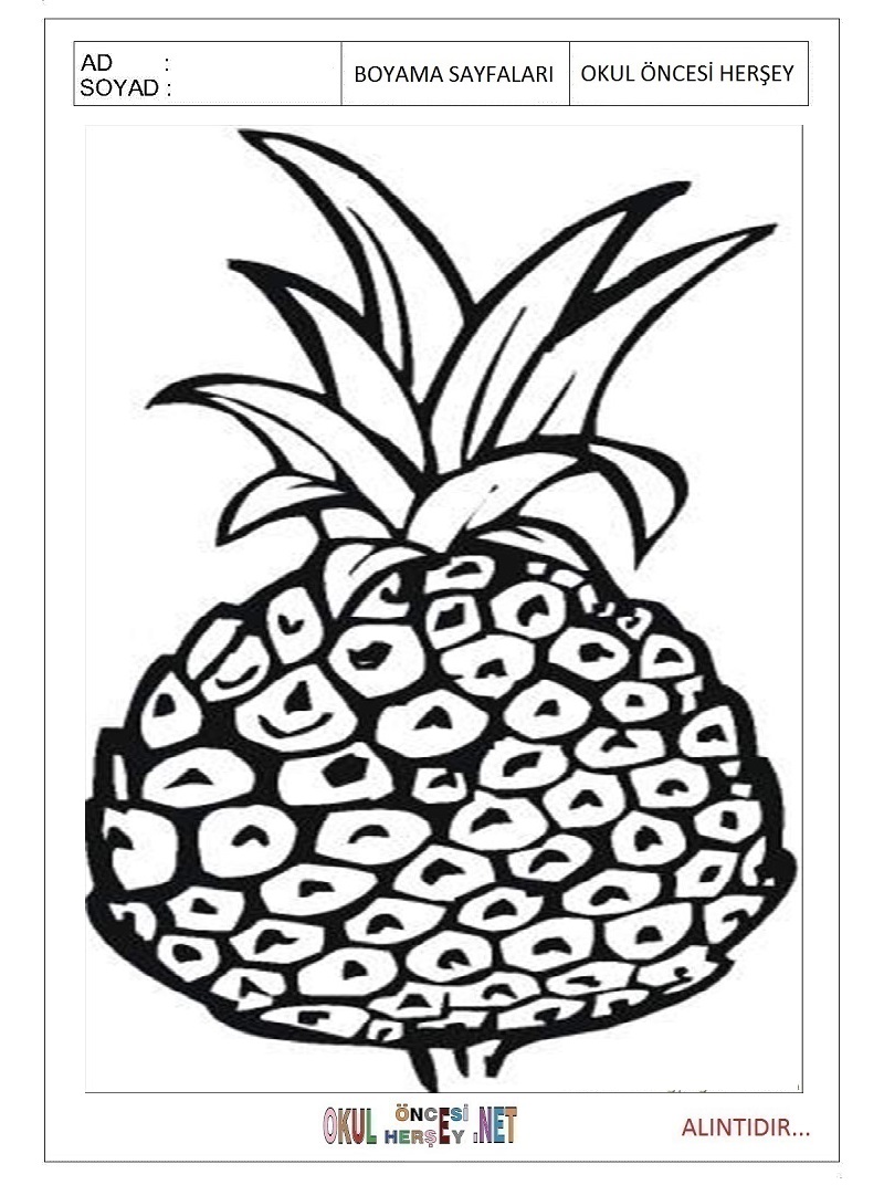 Çocuklar İçin Ananas Boyama Sayfaları 