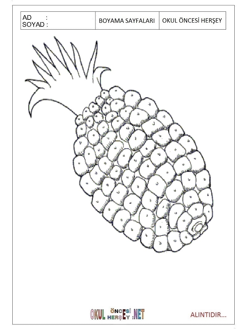 Çocuklar İçin Ananas Boyama Sayfaları 