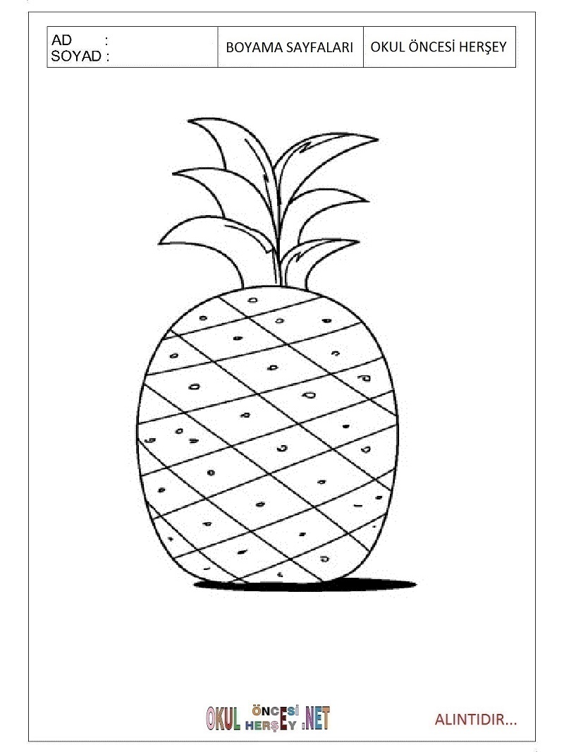 Çocuklar İçin Ananas Boyama Sayfaları 
