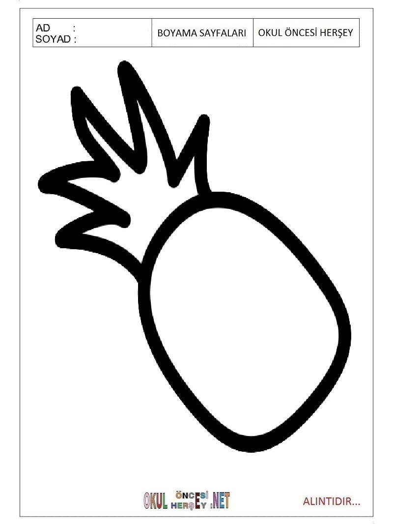 Çocuklar İçin Ananas Boyama Sayfaları 