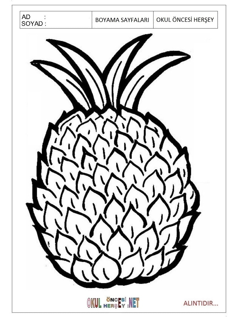 Çocuklar İçin Ananas Boyama Sayfaları 