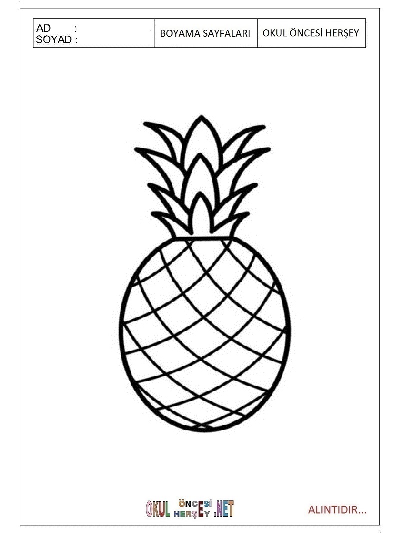Çocuklar İçin Ananas Boyama Sayfaları 