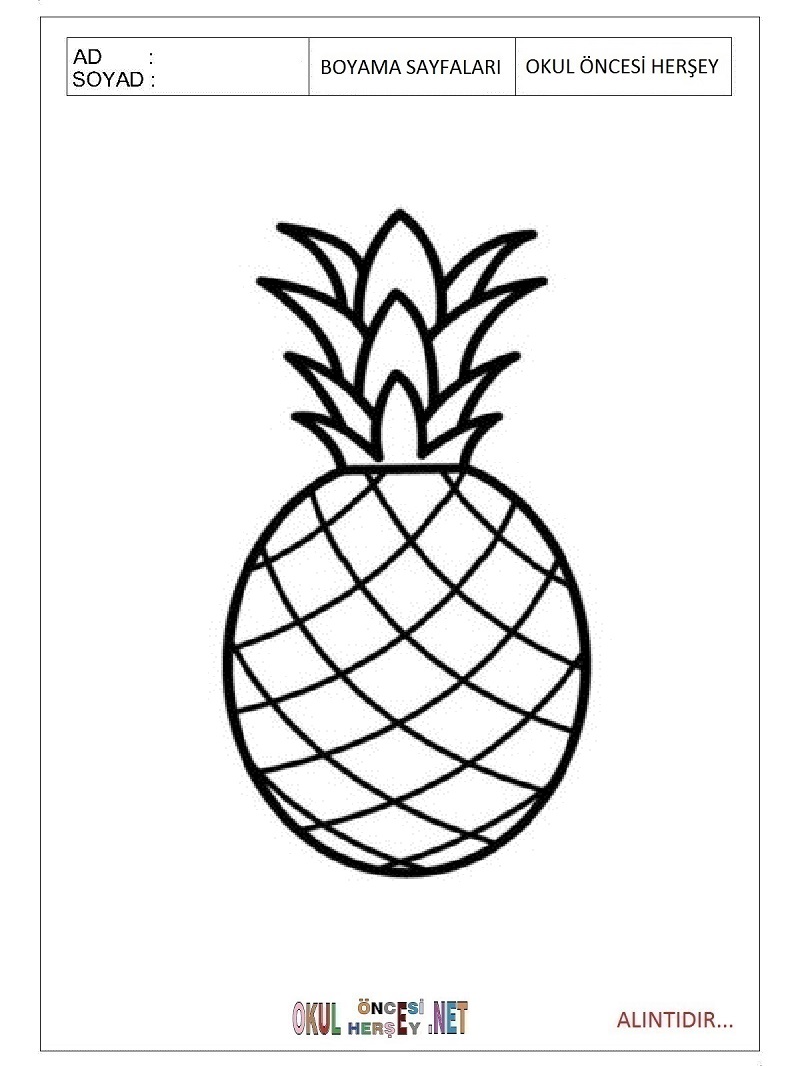 Çocuklar İçin Ananas Boyama Sayfaları 