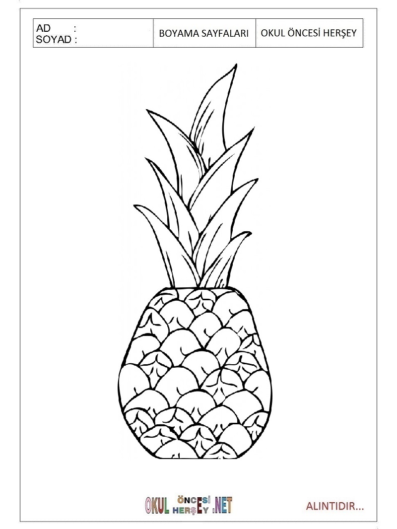 Çocuklar İçin Ananas Boyama Sayfaları 