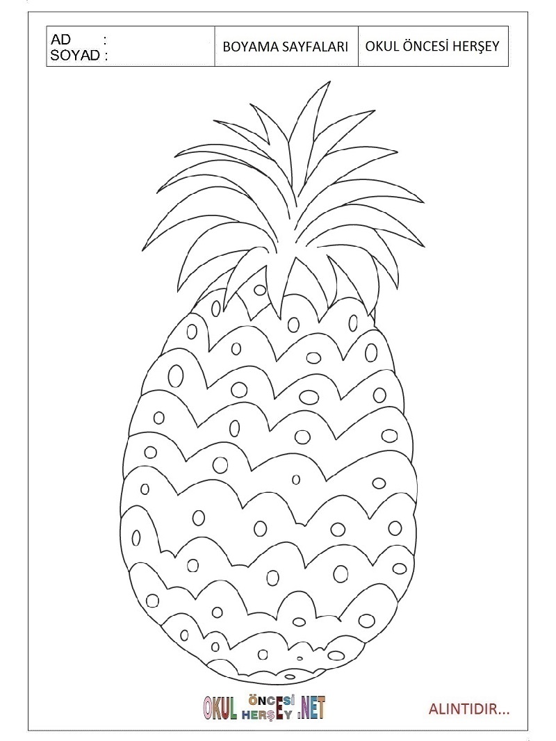 Çocuklar İçin Ananas Boyama Sayfaları 