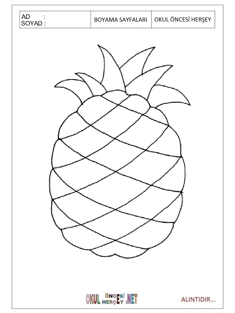 Çocuklar İçin Ananas Boyama Sayfaları 