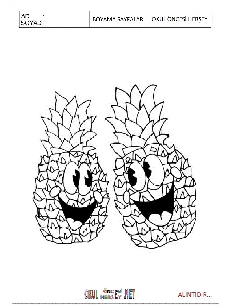 Çocuklar İçin Ananas Boyama Sayfaları 