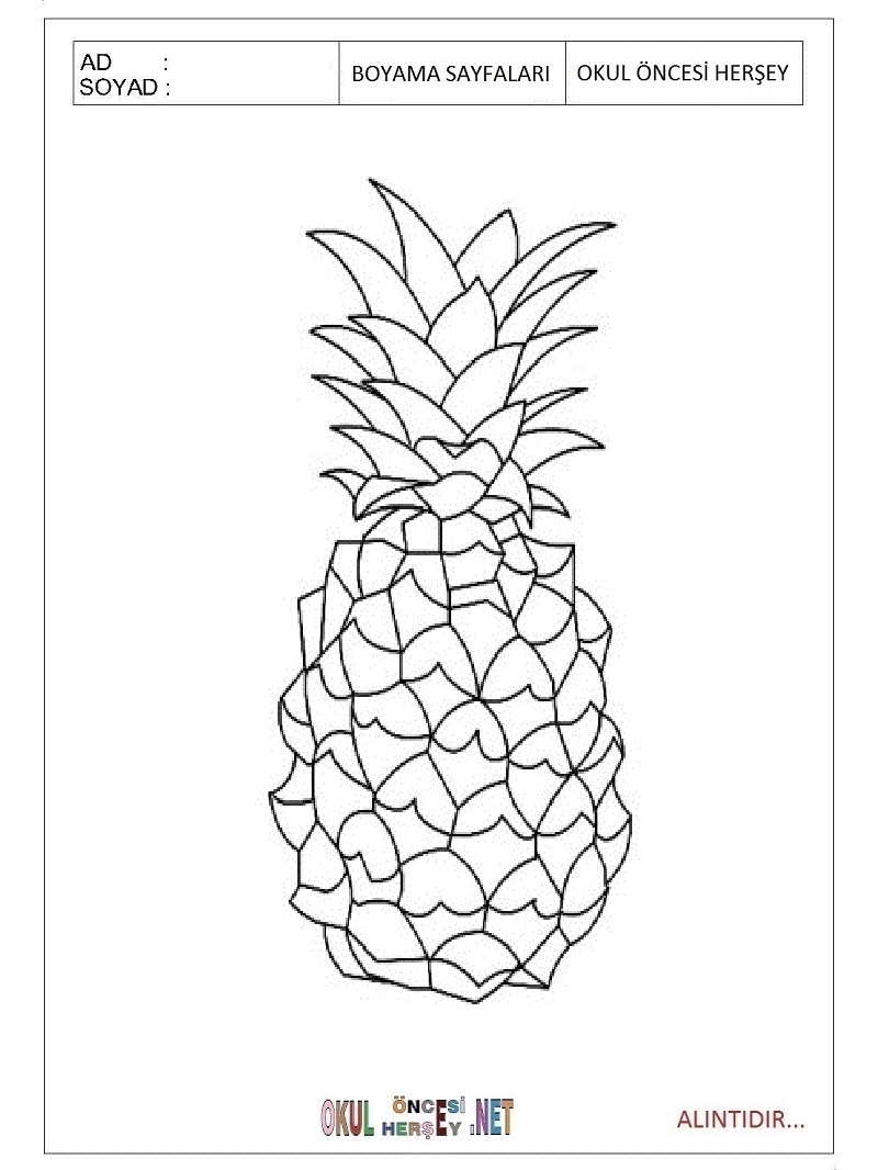 Çocuklar İçin Ananas Boyama Sayfaları 