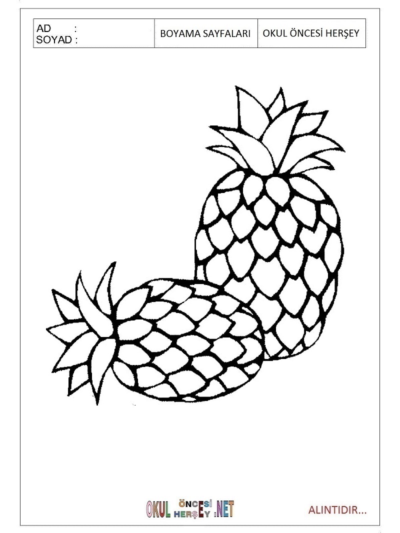 Çocuklar İçin Ananas Boyama Sayfaları 