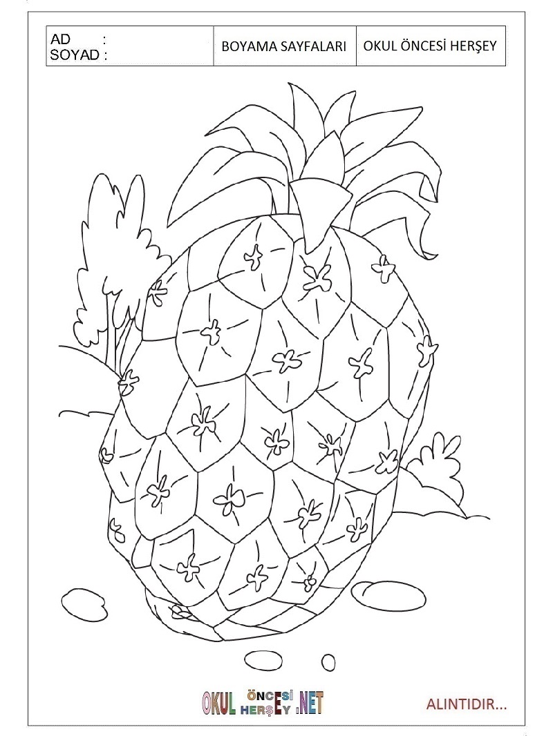 Çocuklar İçin Ananas Boyama Sayfaları 