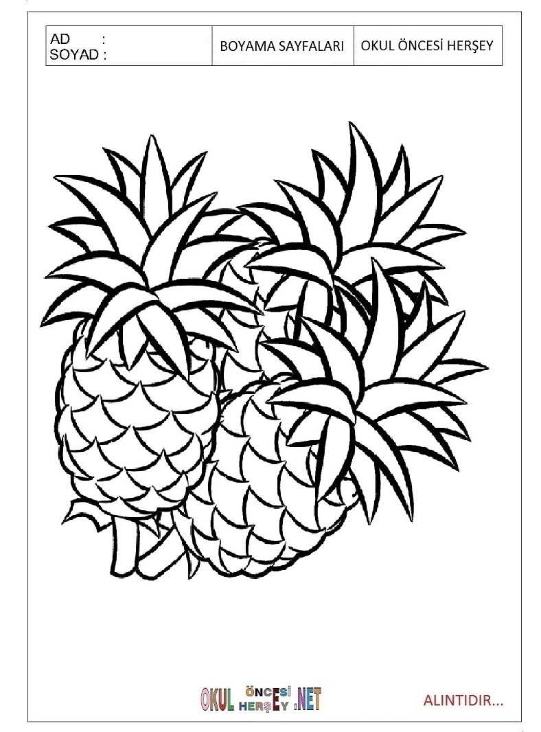 Çocuklar İçin Ananas Boyama Sayfaları 