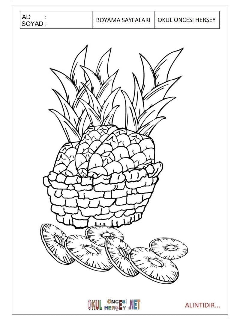 Çocuklar İçin Ananas Boyama Sayfaları 