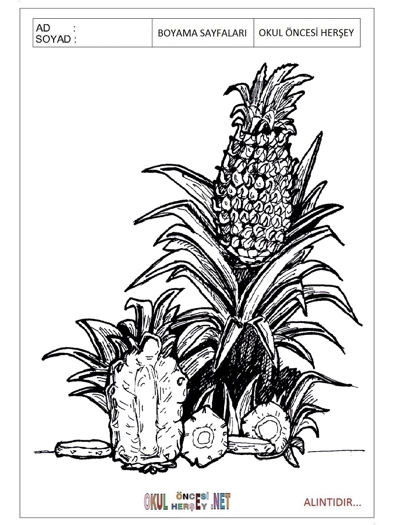 Çocuklar İçin Ananas Boyama Sayfaları 