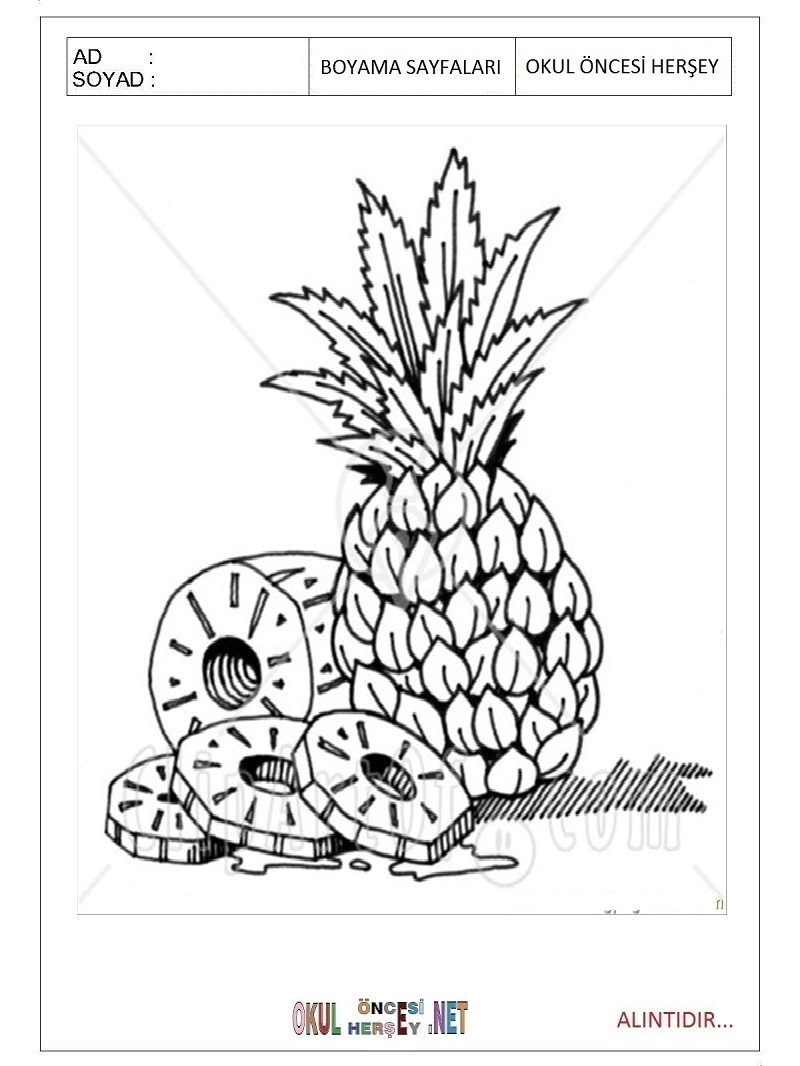 Çocuklar İçin Ananas Boyama Sayfaları 