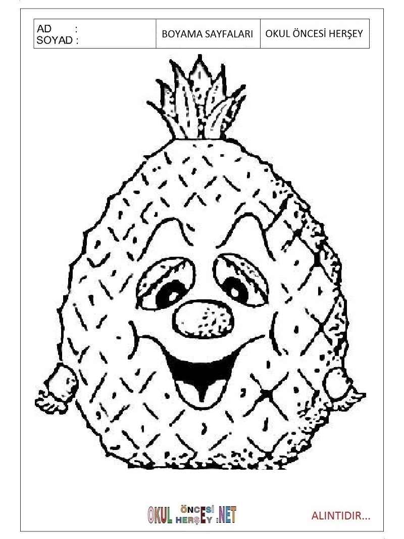 Çocuklar İçin Ananas Boyama Sayfaları 