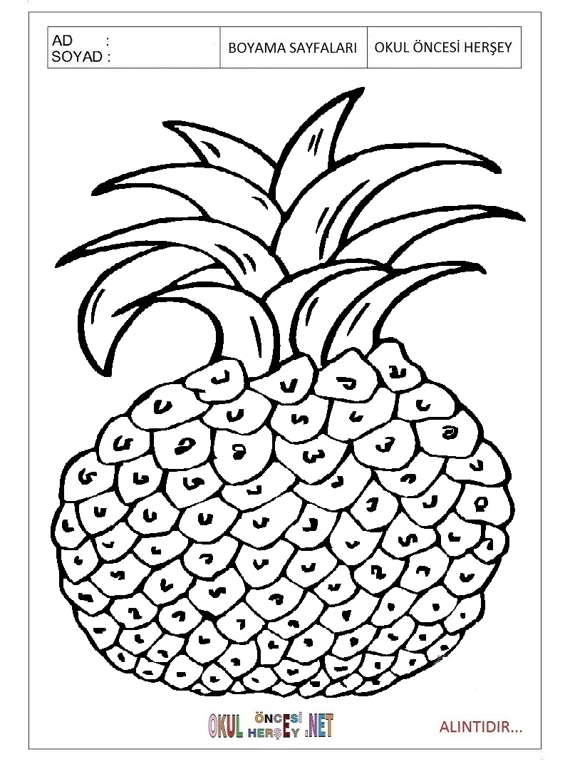 Çocuklar İçin Ananas Boyama Sayfaları 