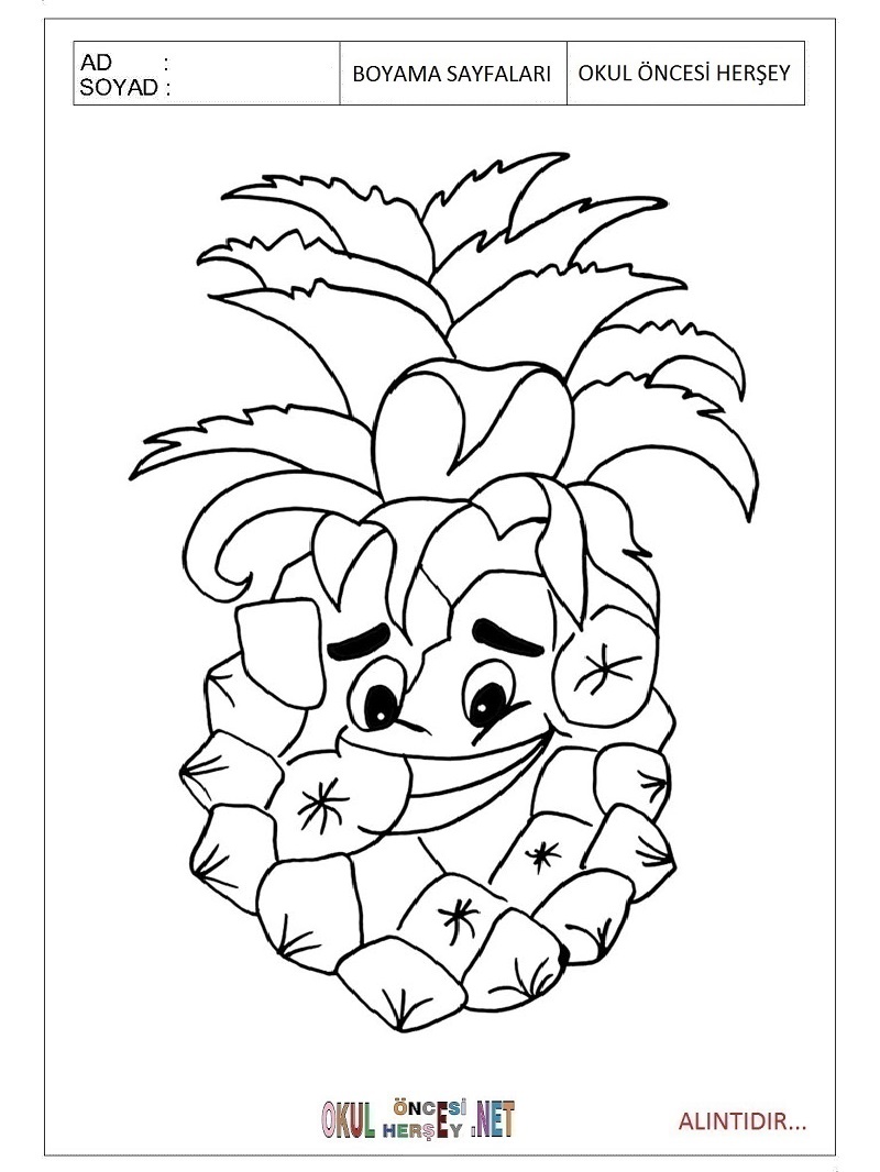 Çocuklar İçin Ananas Boyama Sayfaları 