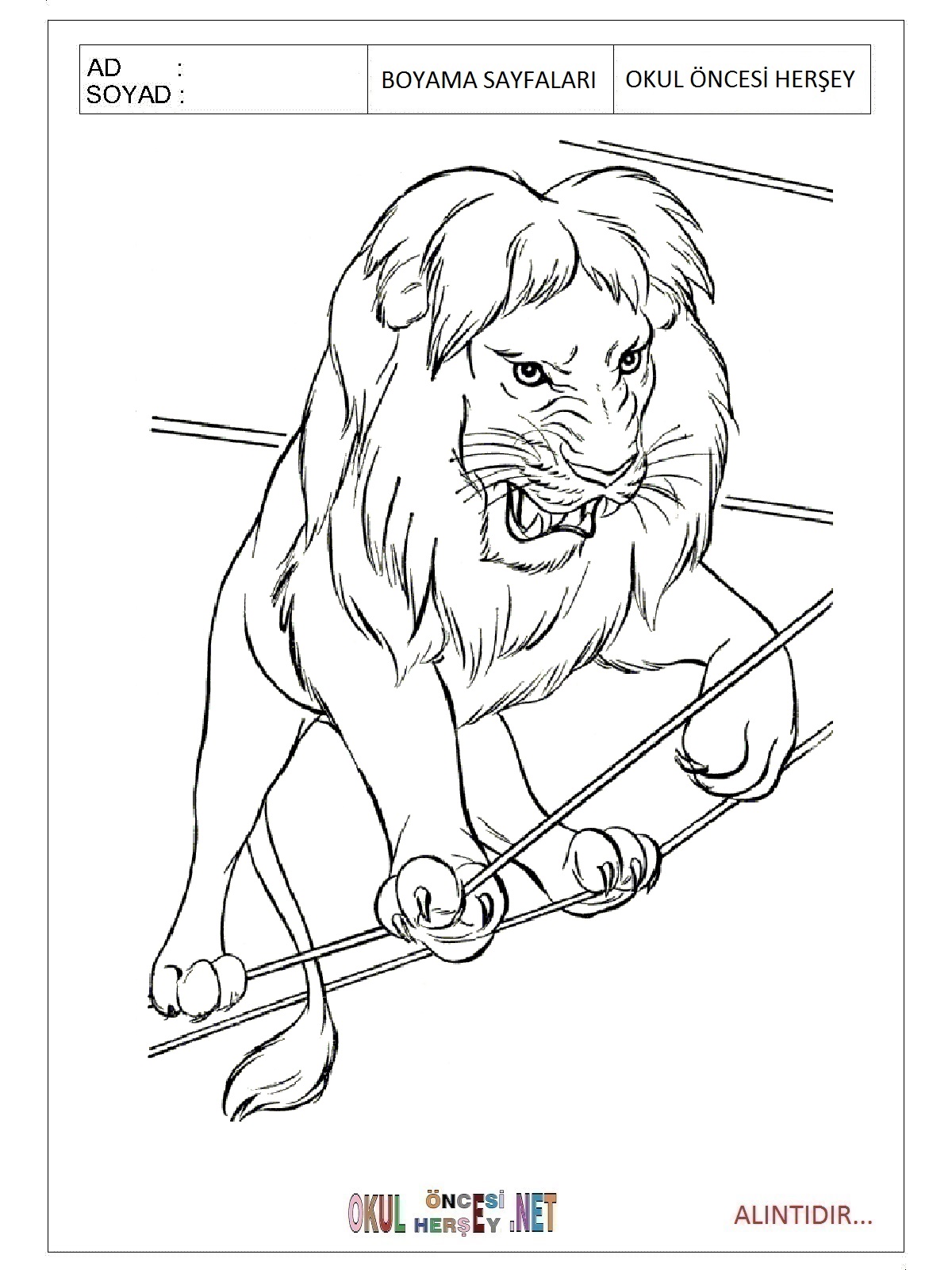 Çocuklar İçin Aslan Boyama Sayfaları 
