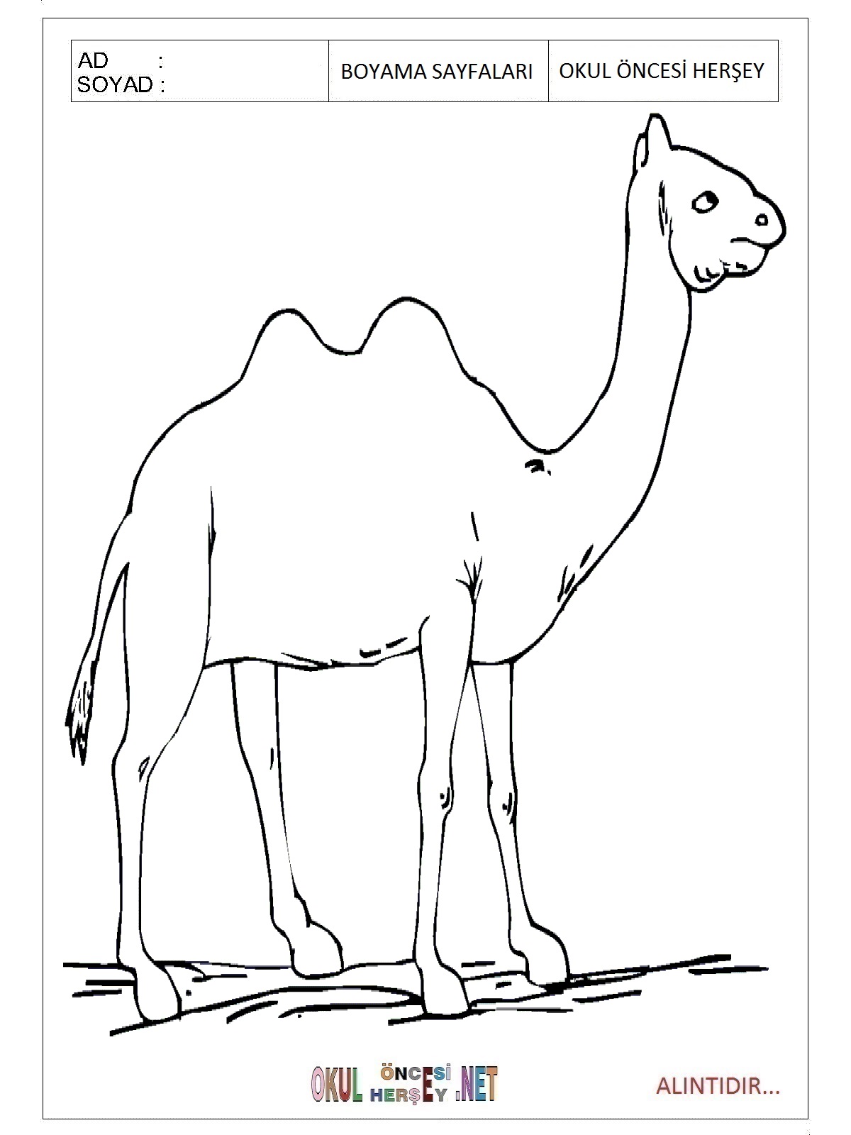 Çocuklar İçin Dinozor Boyama Sayfaları 