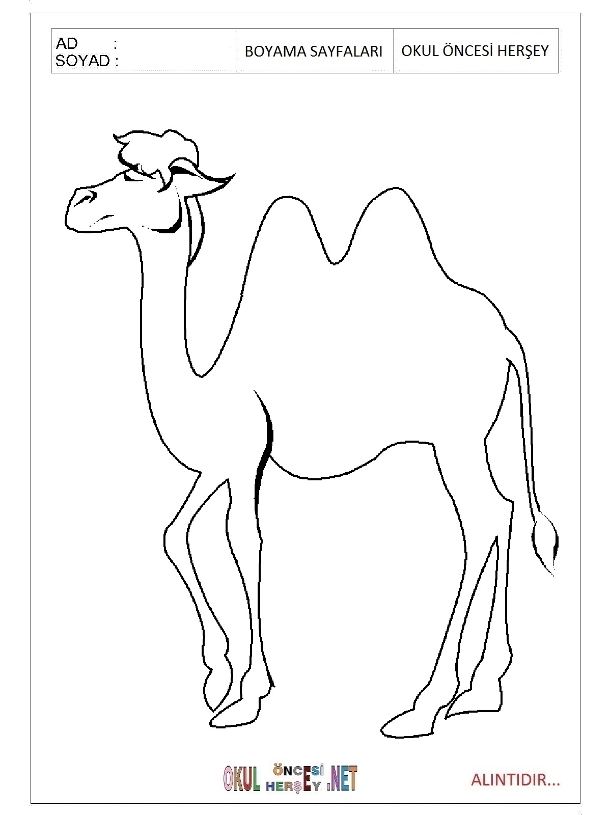 Çocuklar İçin Dinozor Boyama Sayfaları 