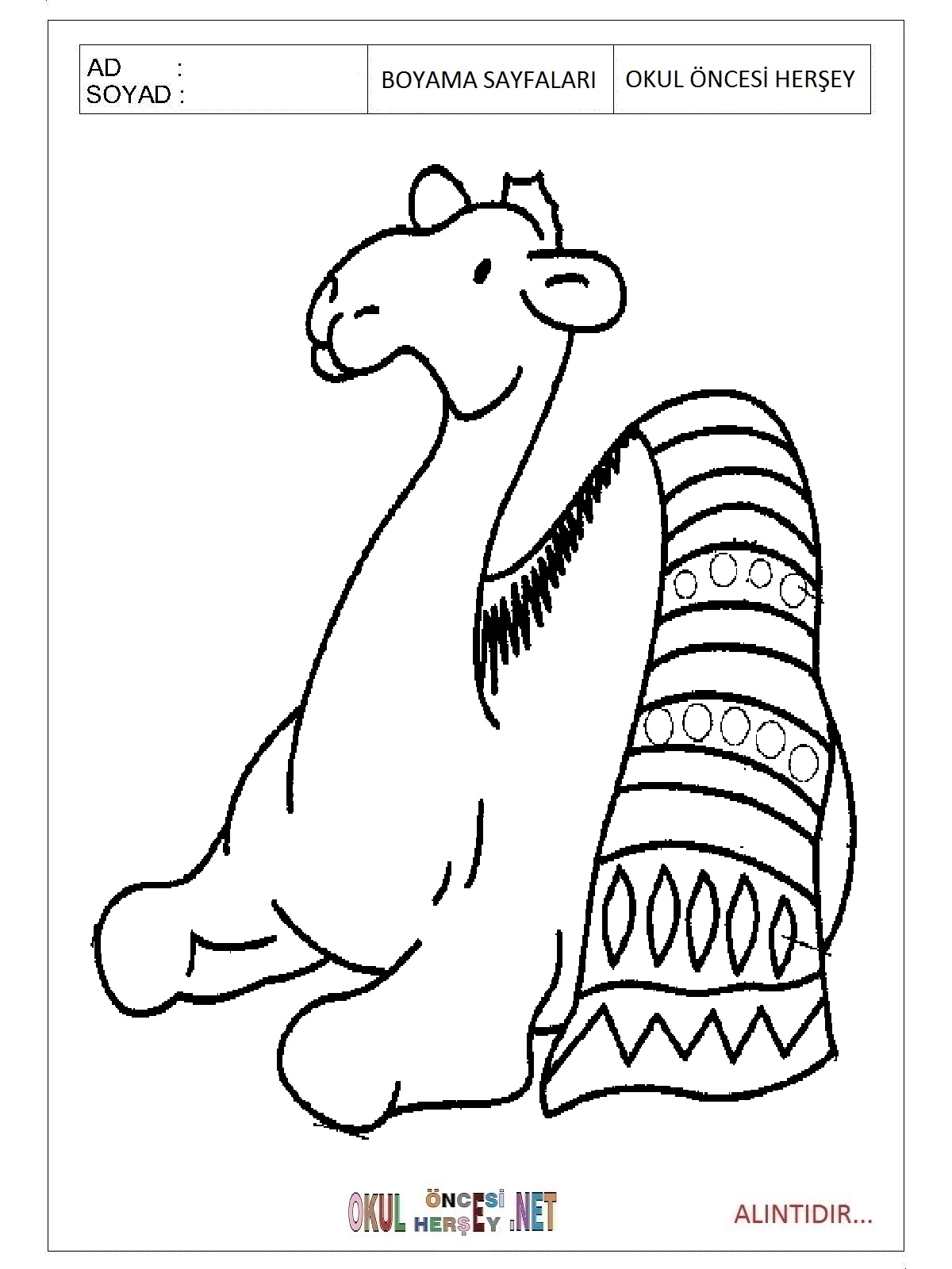Çocuklar İçin Dinozor Boyama Sayfaları 
