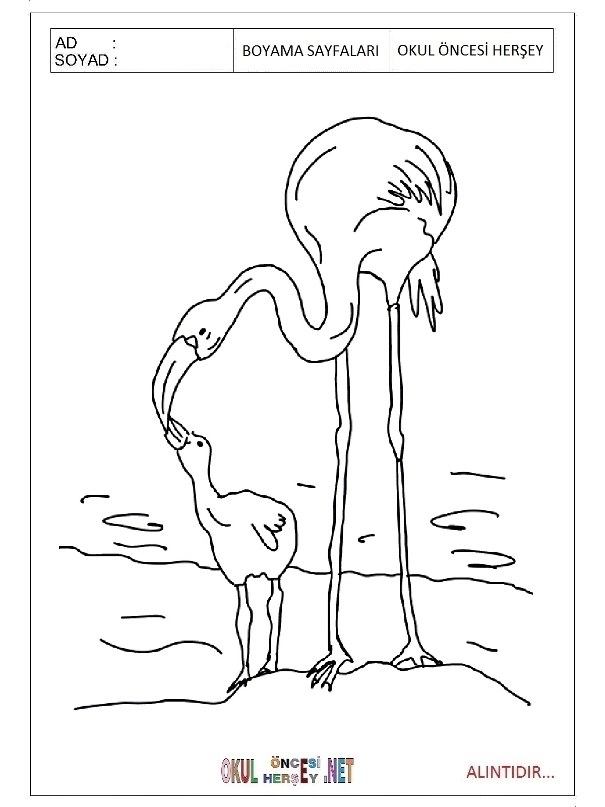 Çocuklar İçin Flamingo Boyama Sayfaları 