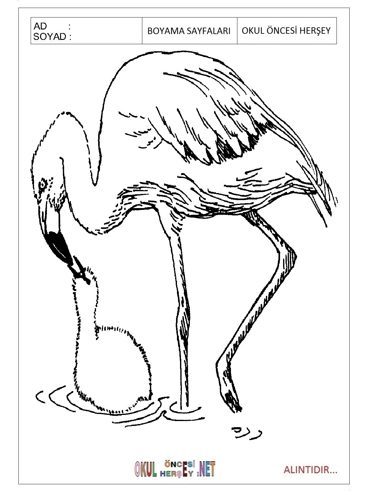 Çocuklar İçin Flamingo Boyama Sayfaları 