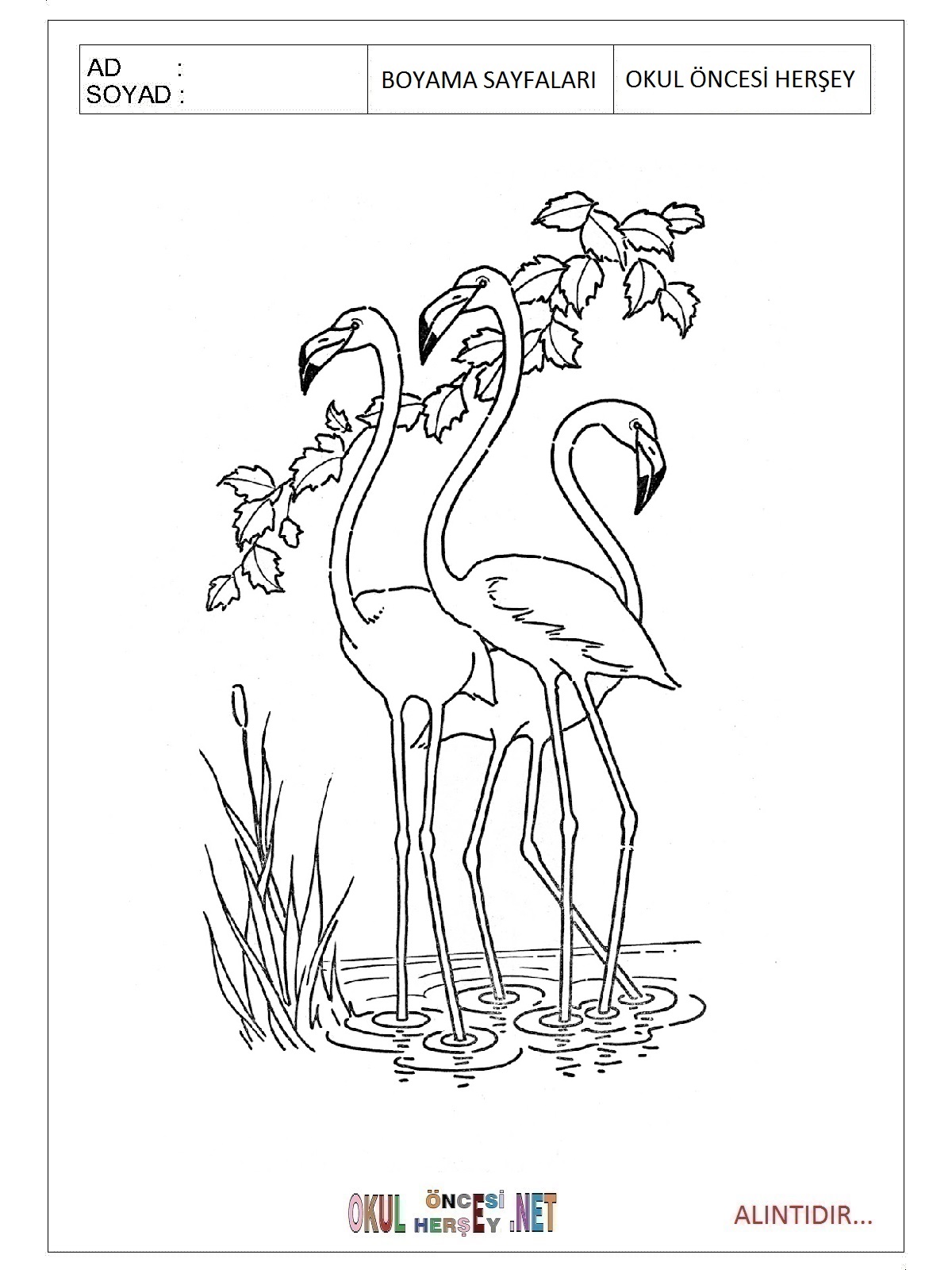 Çocuklar İçin Flamingo Boyama Sayfaları 