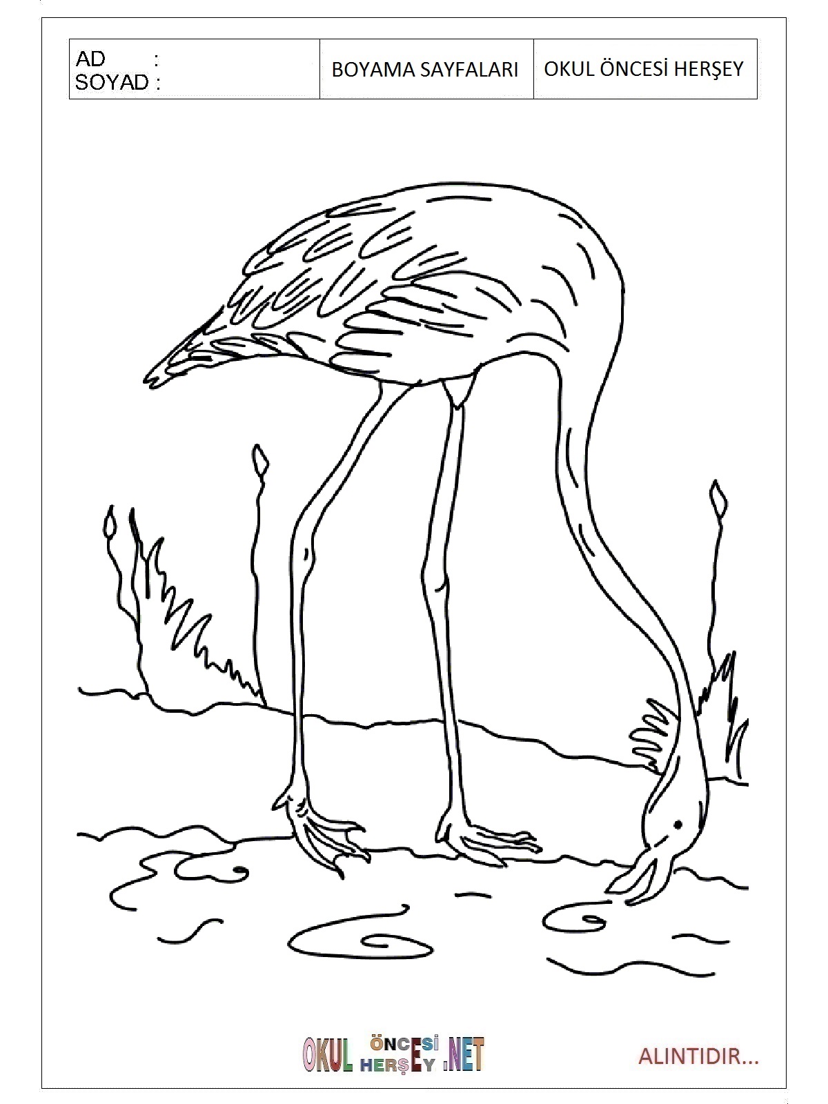 Çocuklar İçin Flamingo Boyama Sayfaları 