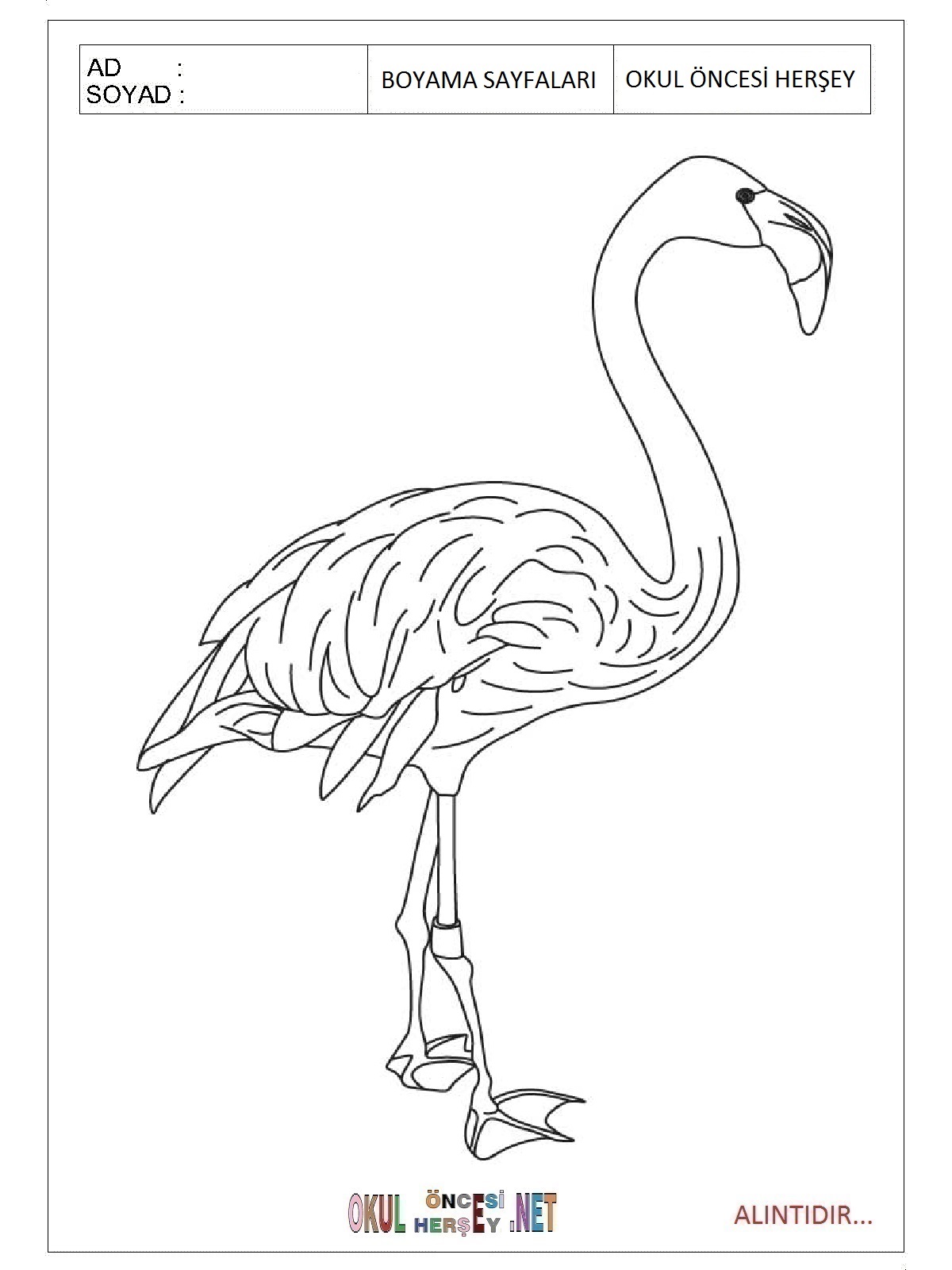 Çocuklar İçin Flamingo Boyama Sayfaları 