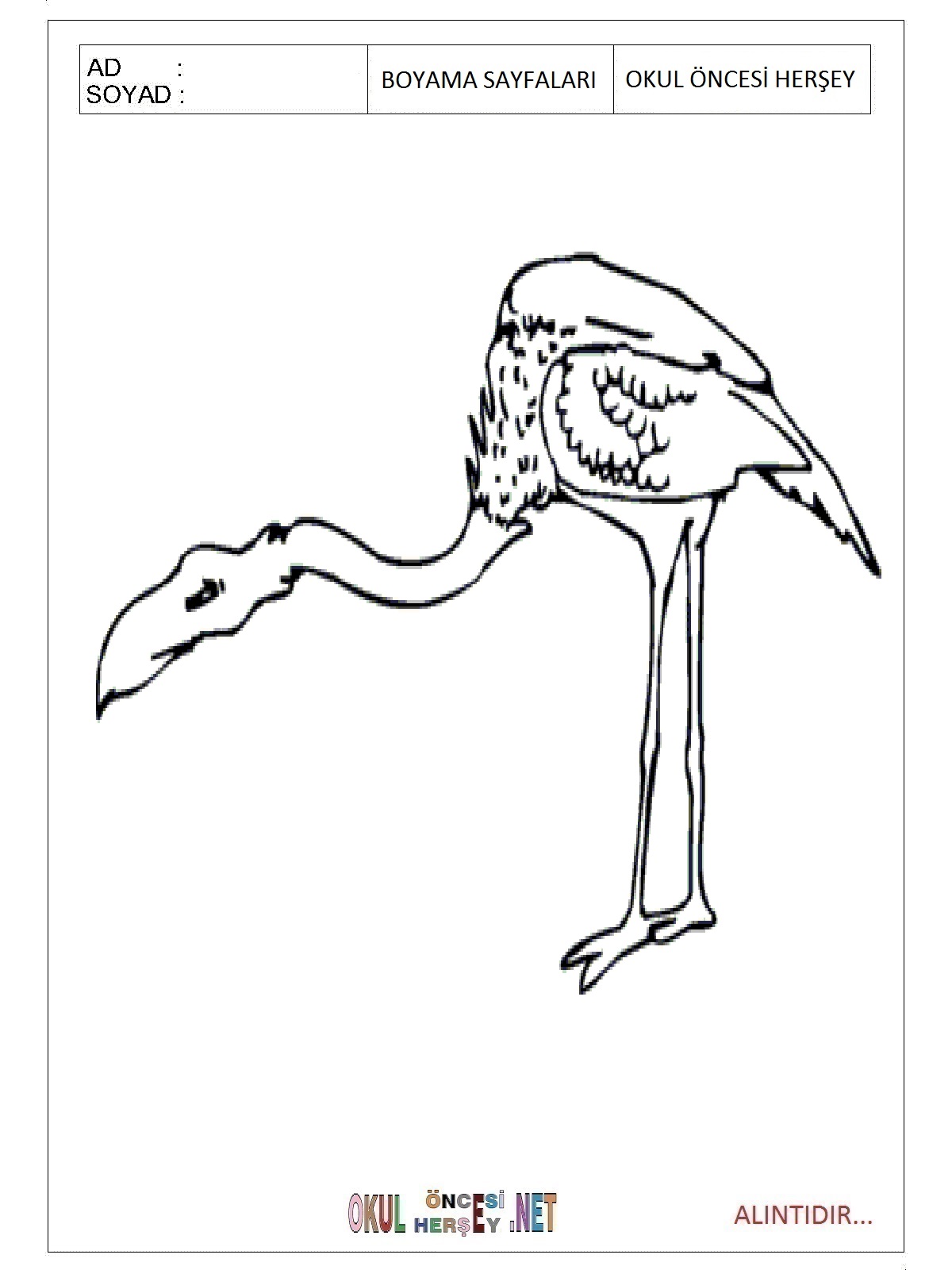 Çocuklar İçin Flamingo Boyama Sayfaları 