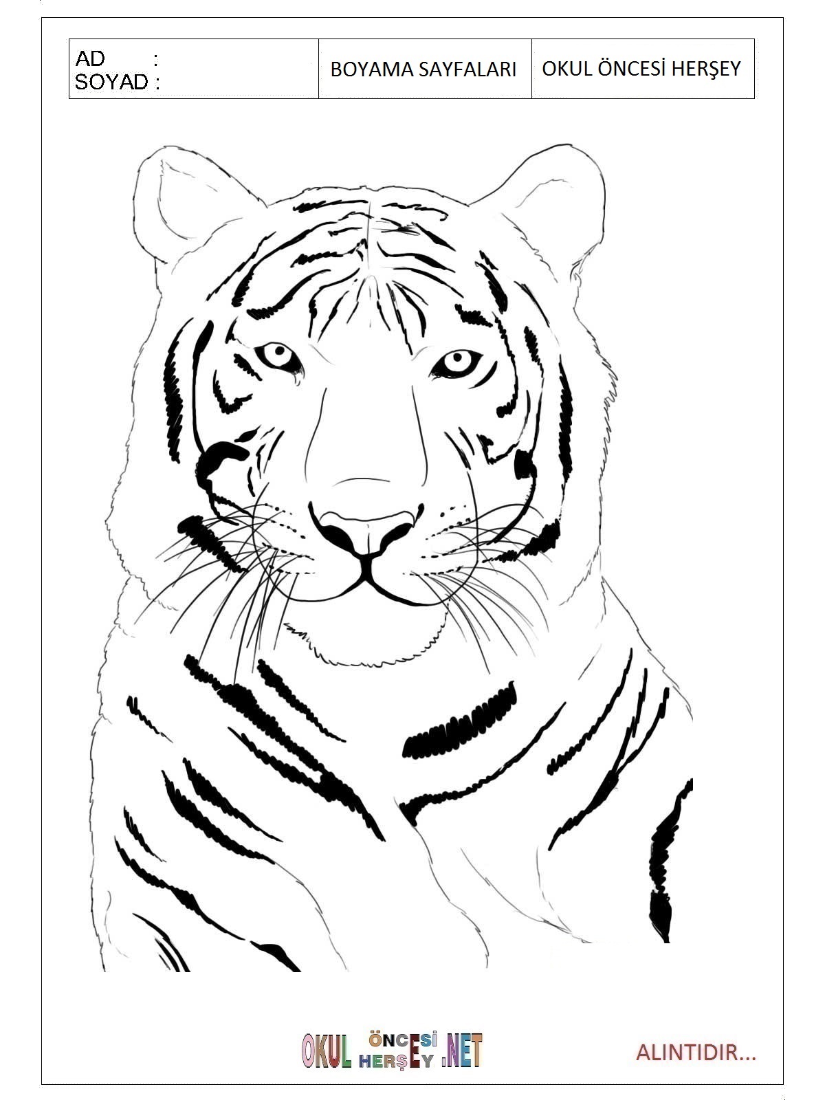 Рисунки для срисовки на лист а4. Тигр. Раскраска. Тигр рисунок. Тигр нарисовать. Рисунок тигра карандашом.