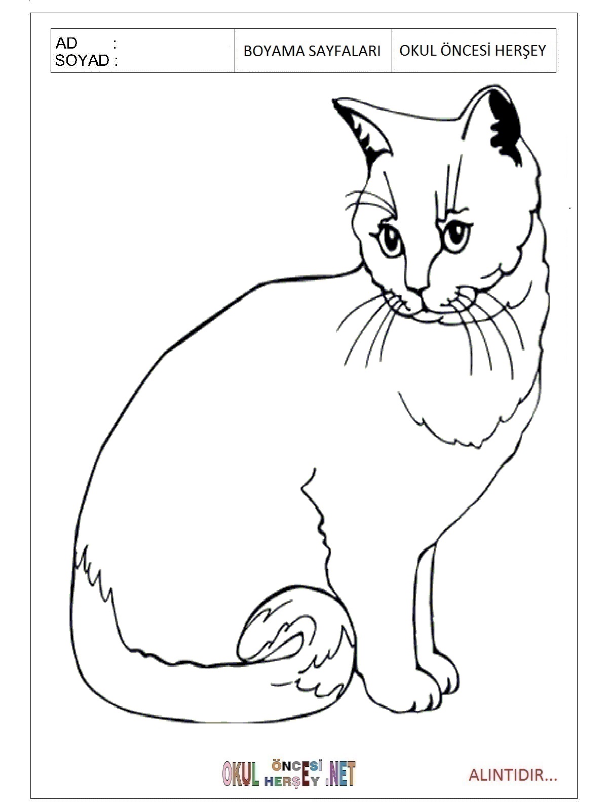 Çocuklar İçin Kedi Boyama Sayfaları 