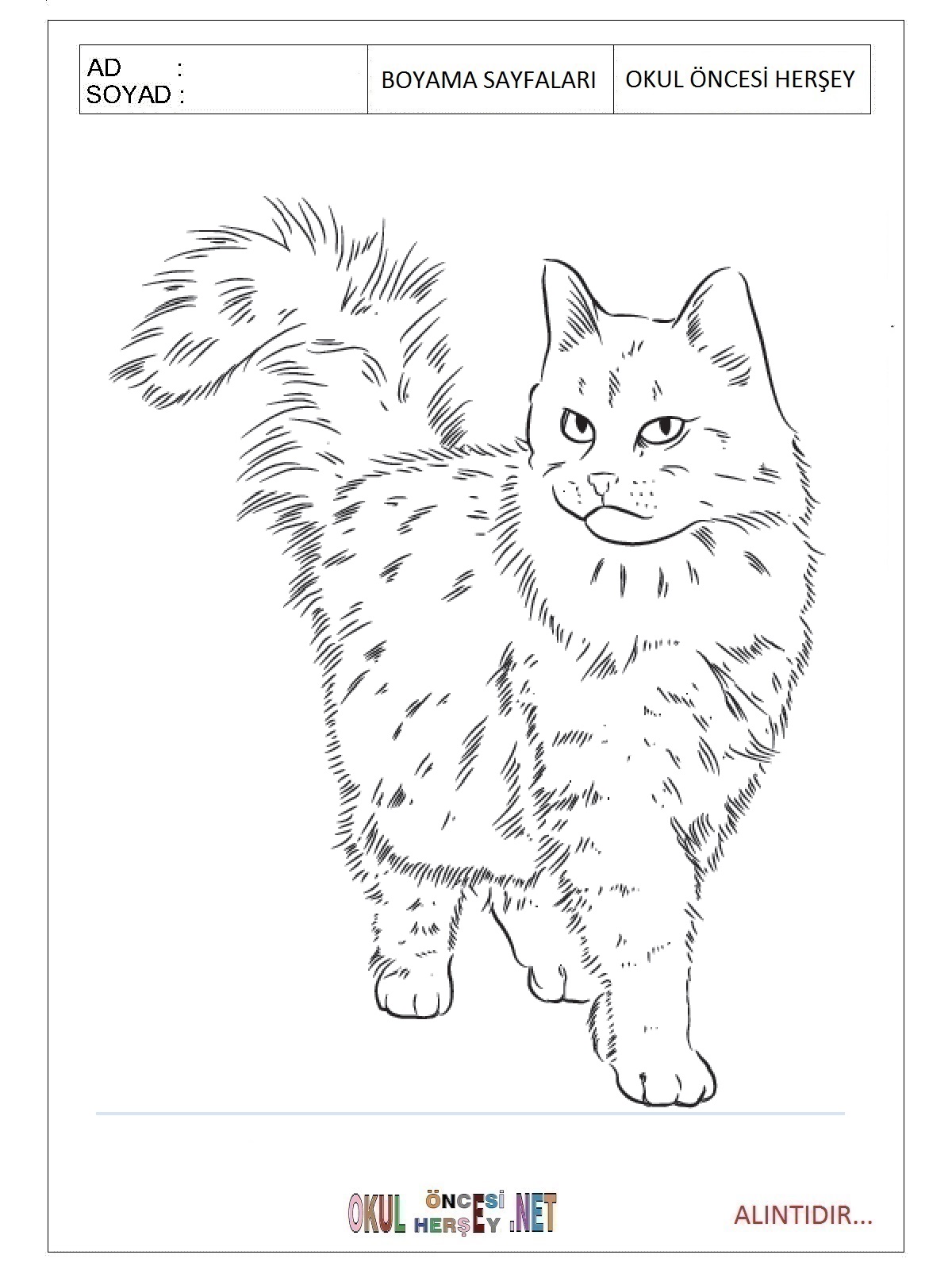Çocuklar İçin Kedi Boyama Sayfaları 
