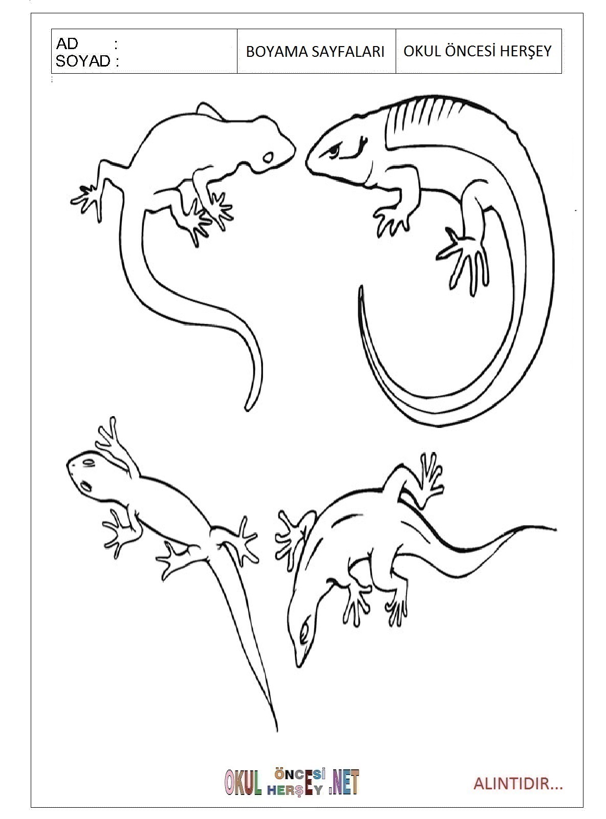 Kertenkele Boyama Sayfaları