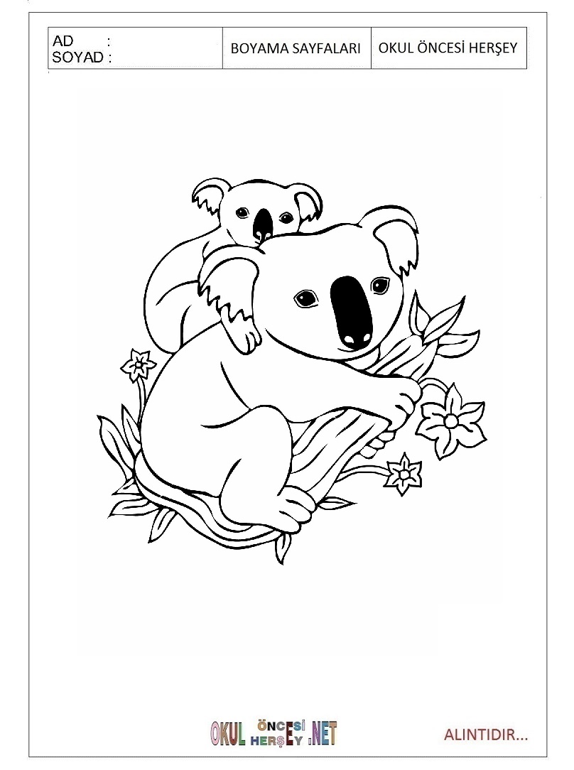 Çocuklar İçin Koala Boyama Sayfaları 
