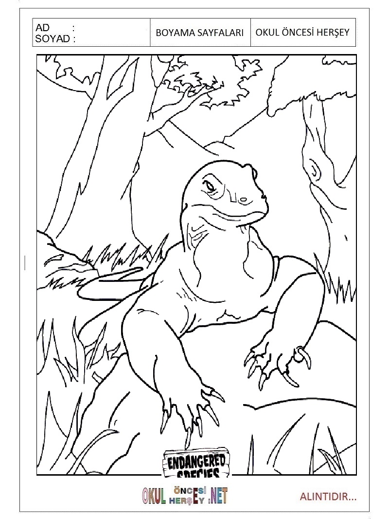 Çocuklar İçin Komodo-Ejderi Boyama Sayfaları 