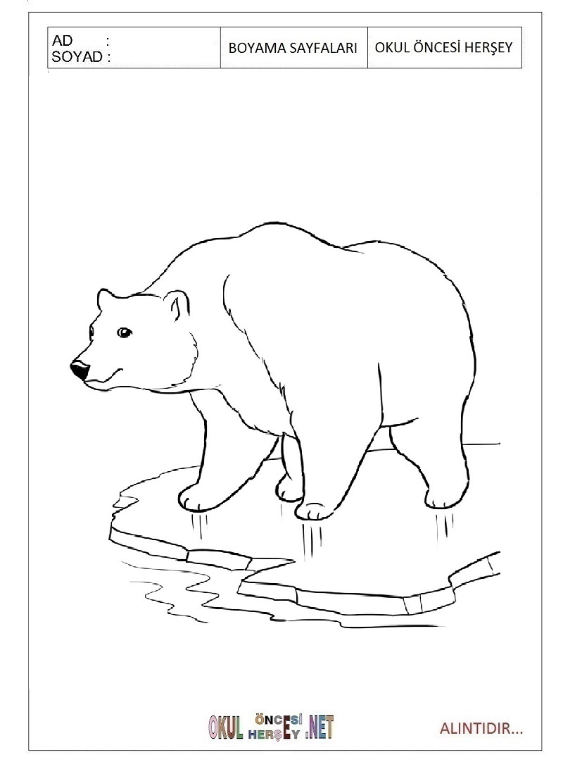 Белый медведь на льдине раскраска