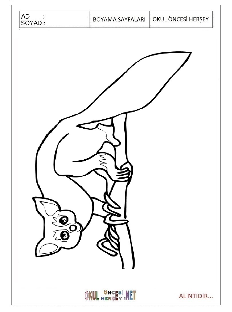 Çocuklar İçin Lemur Boyama Sayfaları 
