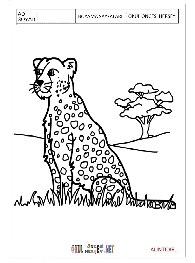 Çocuklar İçin Leopar Boyama Sayfaları 