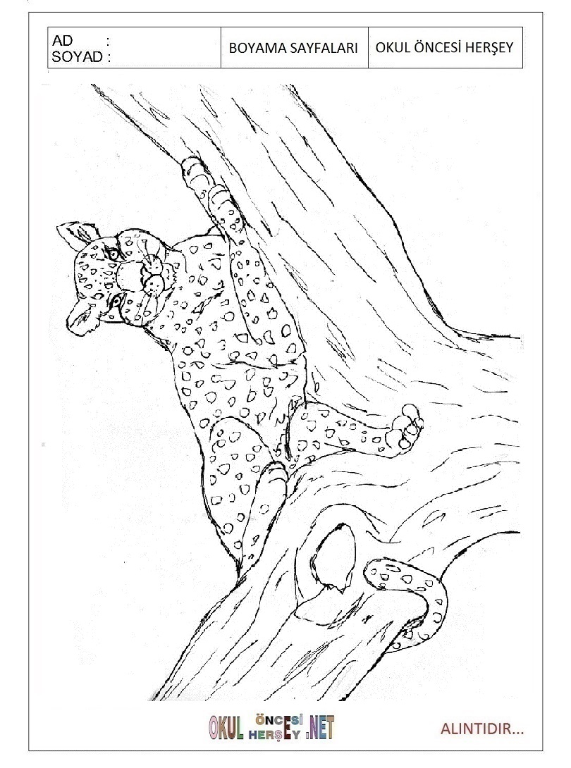 Çocuklar İçin Leopar Boyama Sayfaları 